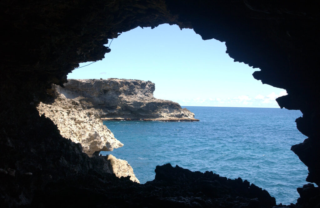 Top 10 Things to do in Barbados - Animal Flower Cave