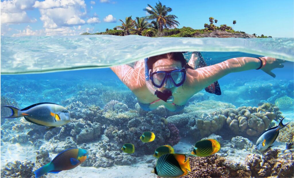 Top 10 Things to Do In Aruba