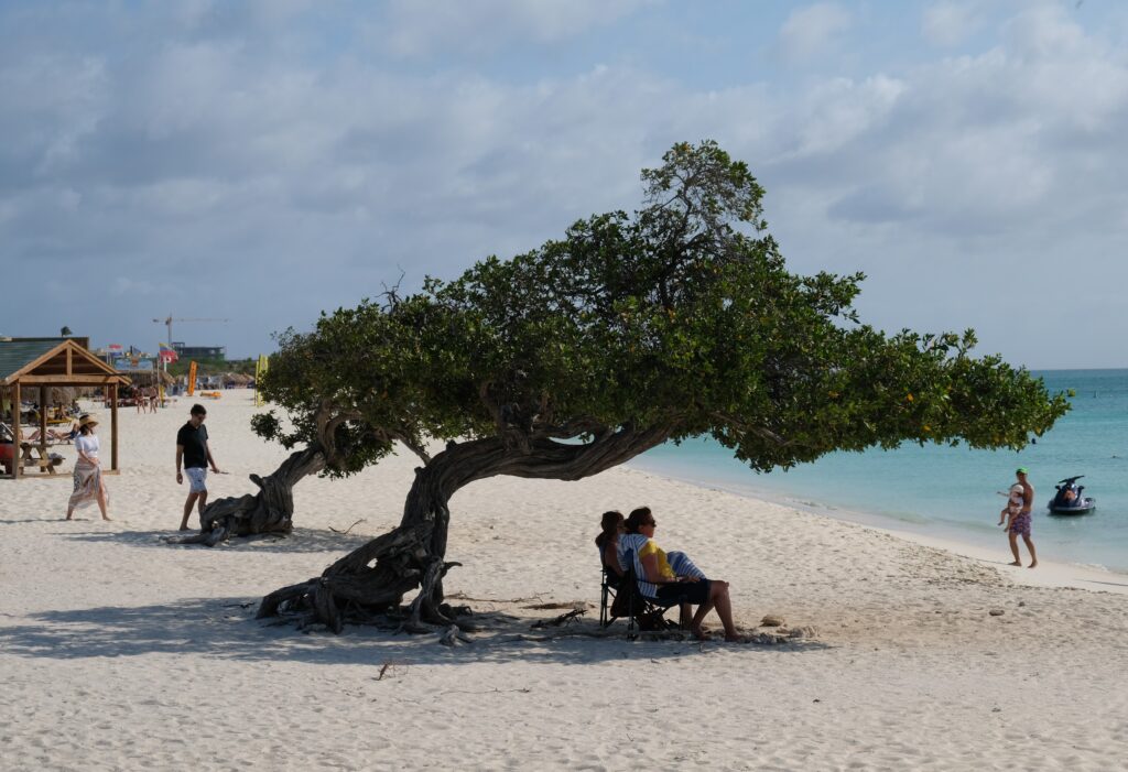 Top 10 Things to Do In Aruba